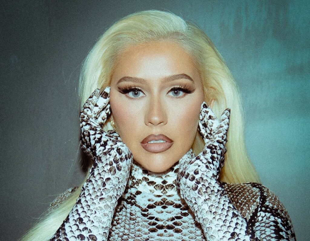 Christina-Aguilera-double-chin